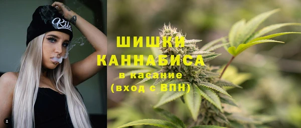 молекула духа Балахна