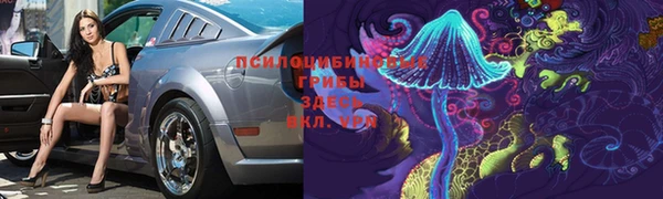 молекула духа Балахна