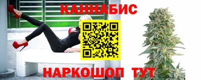 сатива Бийск