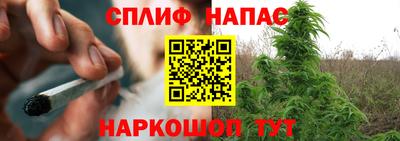 не бодяженный Бийск