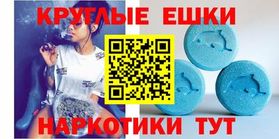 сатива Бийск