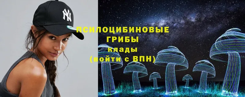 OMG рабочий сайт  Гусев  Псилоцибиновые грибы MAGIC MUSHROOMS  купить наркоту 