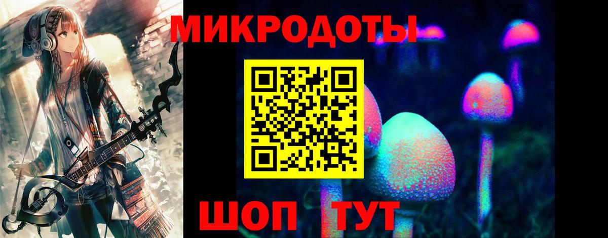Галлюциногенные грибы мицелий Гусев