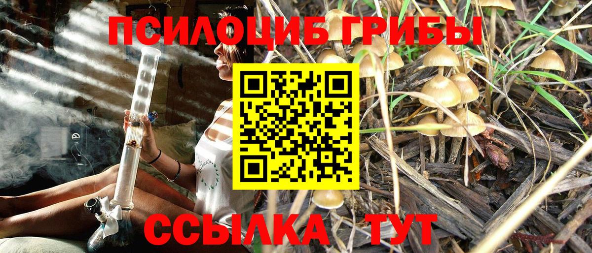 Галлюциногенные грибы прущие грибы  Гусев  Псилоцибиновые грибы GOLDEN TEACHER 